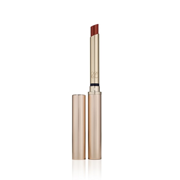 Estée Lauder Pure Color Explicit Slick Shine Lipstick 222