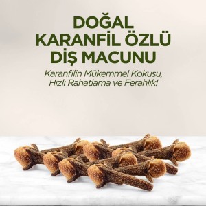 Eyüp Sabri Tuncer Karanfil Diş Macunu 90 Ml - Thumbnail