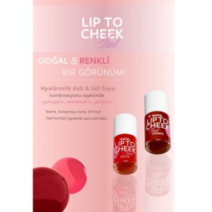 Pastel Plump Up Dolgunlaştıran Dudak Parlatıcısı 202 Loverdose + Lip To Cheek Tint Carmen - Thumbnail